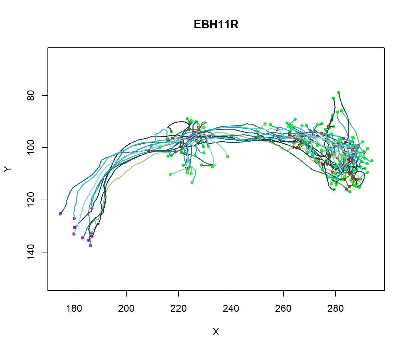 Figure  6: Axonal and Dendritic geometry. Plot of Several Neurons to illustrate the diversity in axonal and dendritic geometry between excitatory and inhibitory cell types.